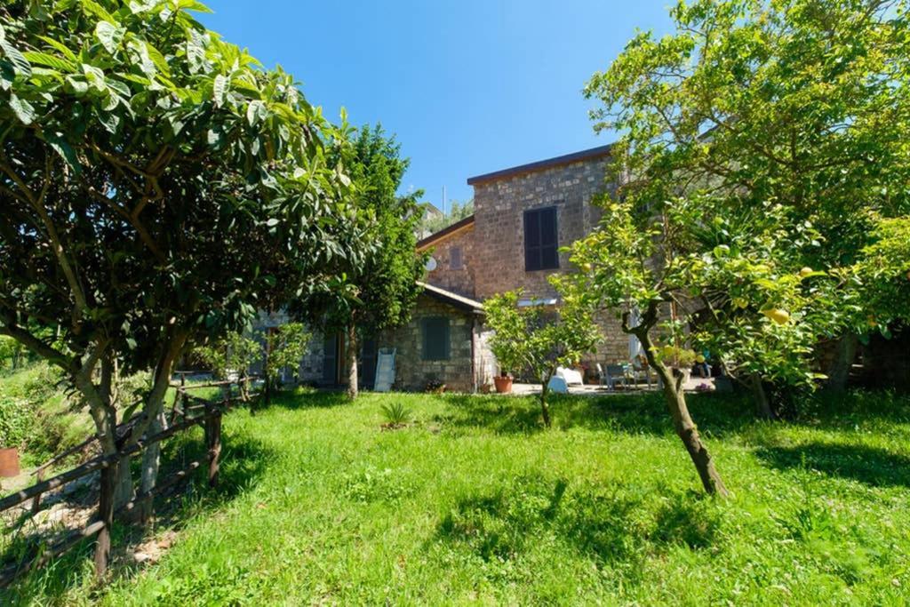 Villa Domus Aqua Viva Massa Lubrense Exterior foto