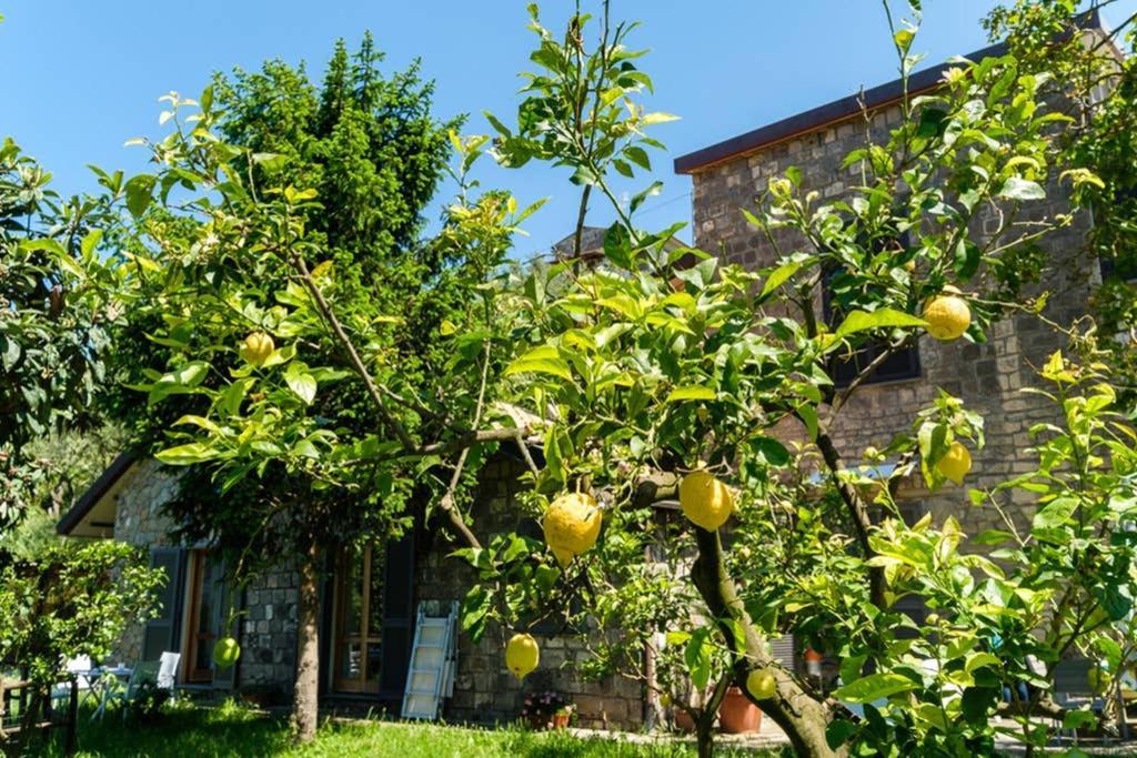 Villa Domus Aqua Viva Massa Lubrense Exterior foto